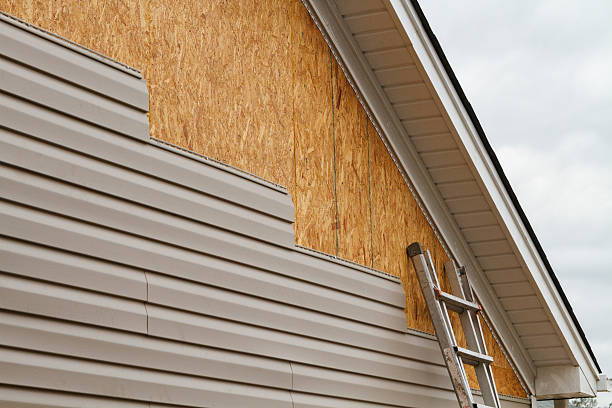 Professional Siding Repair technician working in Deer Park, TX